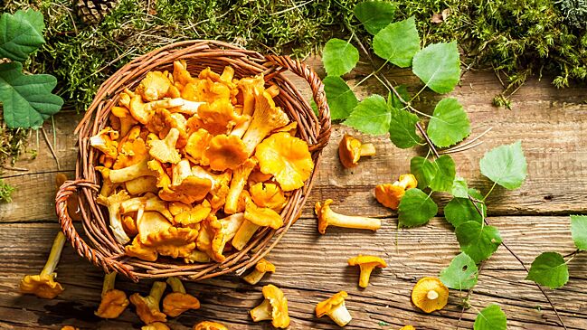 Как приготовить вкусные лисички: от супов до заготовок на зиму