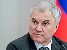 Володин пригласил компании Вьетнама в Россию и выступил против политики санкционных войн