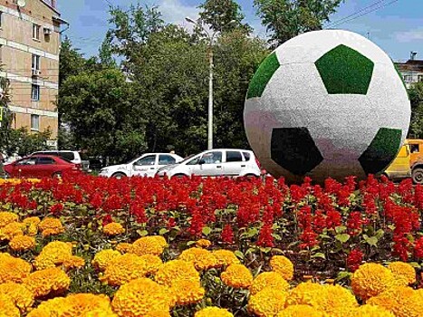 Топиарные фигуры на футбольную тематику появятся в Самаре