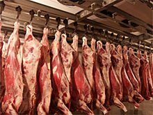 Производство мяса и сахара значительно сократилось в Нижегородской области