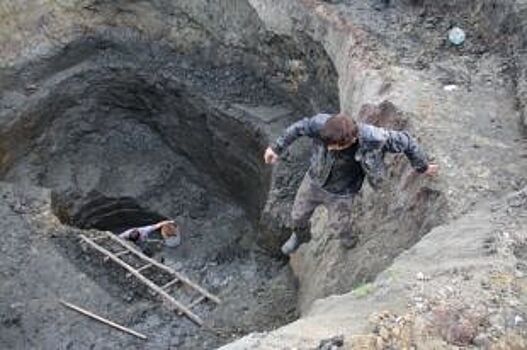 Две бригады «черных копателей» попались на добыче янтаря под Зеленоградском