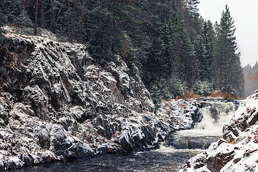 СК: найденная в Карелии петербурженка могла стать жертвой телефонных афер