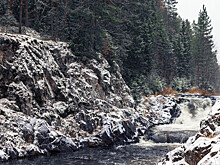 Пропавшую петербурженку нашли живой в Карелии