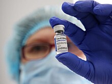 Гинцбург исключил риск бесплодия после вакцинации «Спутником V»