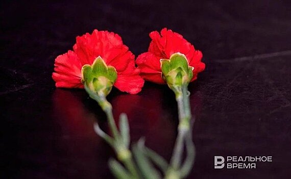 Количество погибших в результате землетрясений в Японии выросло до 65