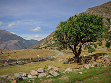 В горах Карачаево-Черкесии возводят боевую башню в традиционном стиле