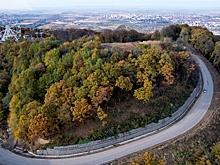 Как сохранить леса, остановить потепление климата и вовремя прийти на помощь