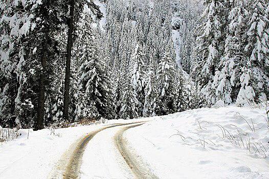 Сказочный квест для детей проведут в Северо-Восточном округе