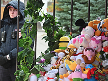 Сенаторы выступили с предложением после трагедии в Ижевске