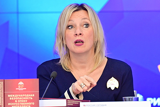 В МИД РФ раскритиковали решение ирландского парламента о поддержке Киева