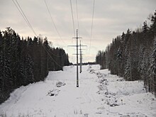 Во Владимирской области вырубят 86 га леса для решения проблемы с электроснабжением