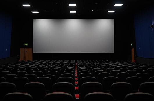 Минкульт запретит прокат пиратских фильмов в кинотеатрах