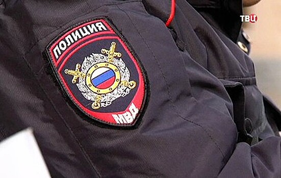 Двух школьников задержали в Москве за кражу костюма "стакана"