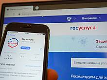 Юрист Соловьев рассказал о новой схеме взлома аккаунтов на «Госуслугах»