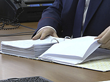 На Ямале будут использовать ИИ для оценки целевого расходования субсидий в АПК