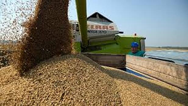 Запасы зерна в России увеличились на четверть