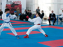 Орловские каратисты завоевали 20 медалей в Калуге