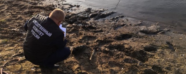 В реке Волгоградской области рыбаки выловили скелетированные человеческие останки