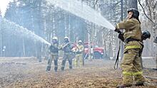 Условный пожар на 4 гектарах в парке Мира ликвидировали сегодня спасатели
