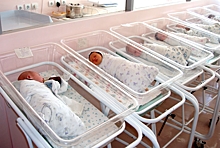 В Нижегородской области стали чаще рождаться двойняшки и тройняшки
