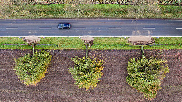 На Россию надвигается разрушительный ураган