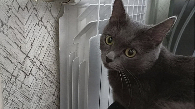 Отопительный сезон в Тюмени стартует 23 сентября