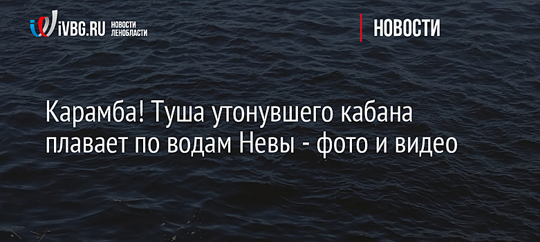 Карамба! Туша утонувшего кабана плавает по водам Невы - фото и видео