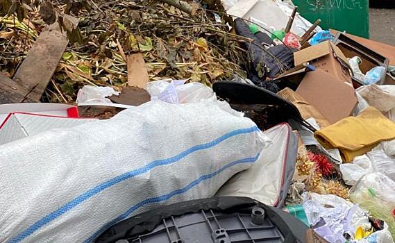 Мэр Курска назвал состояние контейнерных площадок антисанитарией