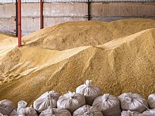 Зерновой союз допустил, что США запретят импорт российского продовольствия