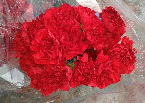 В Иванове в канун Дня Победы полицейские и ветераны возложили цветы к мемориалу сотрудникам МВД, погибшим при исполнении служебного долга