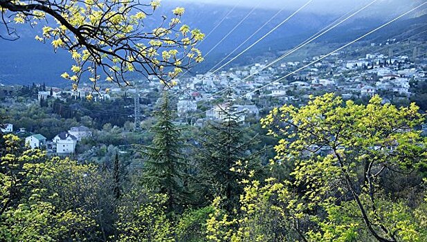 Подписано соглашение о строительстве завода в Крыму