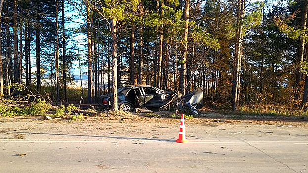 В Югре молодой водитель иномарки погиб, врезавшись в дерево