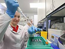 Найдено лечение для запущенной формы сибирской язвы