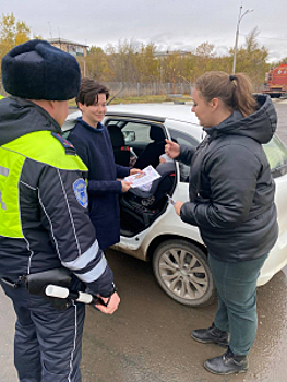 В Самарской области полицейские и общественники провели профилактические беседы с водителями