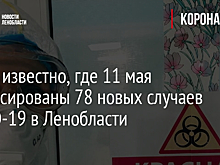 Стало известно, где 11 мая зафиксированы 78 новых случаев COVID-19 в Ленобласти