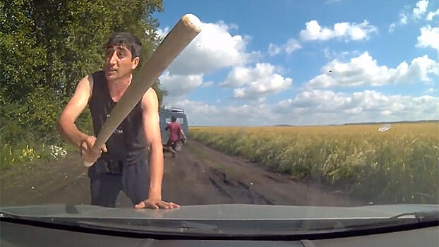 Двое мужчин с битами напали на пенсионерку в поле: видео