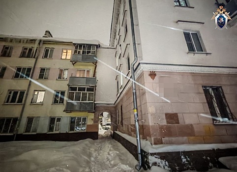 Бастрыкин потребовал доклад по делу о падении наледи на 12-летнего нижегородца