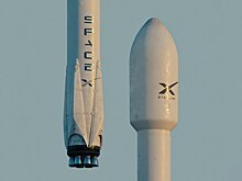 Сенатор США потребовала от Маска заблокировать Starlink мошенникам из Юго‑Восточной Азии