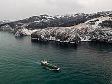 Японскому сайту пришлось извиниться за связанную с Курильскими островами ошибку
