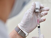 Суд заочно приговорил пранкера Вольнова к шести годам колонии за пропаганду терроризма