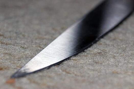 В Югре пьяная женщина напала на полицейских с ножами