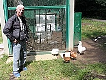 Жителей 9-го мкрн Зеленограда больше не беспокоят горластые петухи