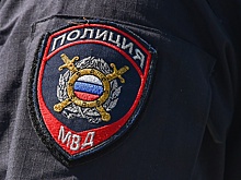 В МВД подтвердили задержание напавших на курьера в Москве-Сити
