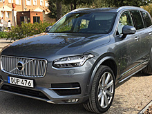 Беспилотники Volvo не могут справиться с кенгуру
