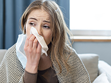 Врач призвал россиян не катать яйца вокруг носа. Лучше съешьте их