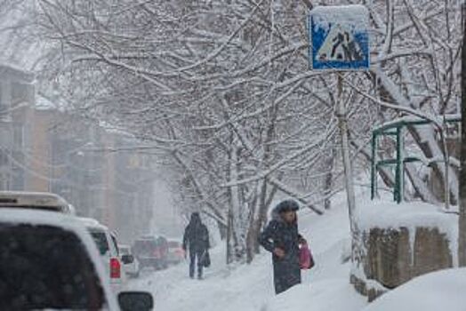В Приморье уборку снега мэры городов контролируют лично