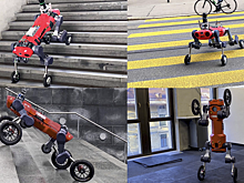 Четвероногого робота научили вставать на задние колеса, бросать коробки и открывать двери стоя