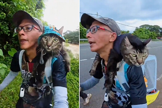 Спортсмен принял участие в забеге с котом на плечах
