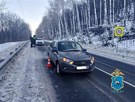 Косуля погибла под колесами Lada Granta в Самарской области