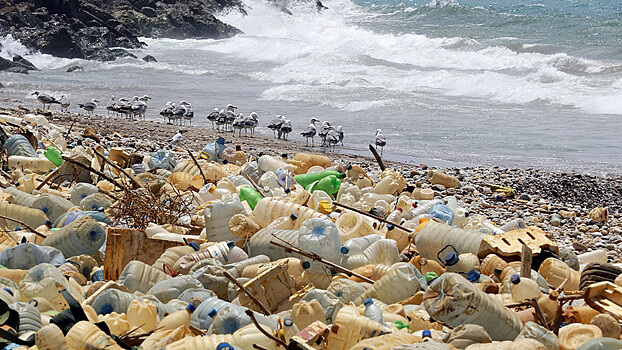 Как пластиковый мусор влияет на полезные бактерии в Мировом океане